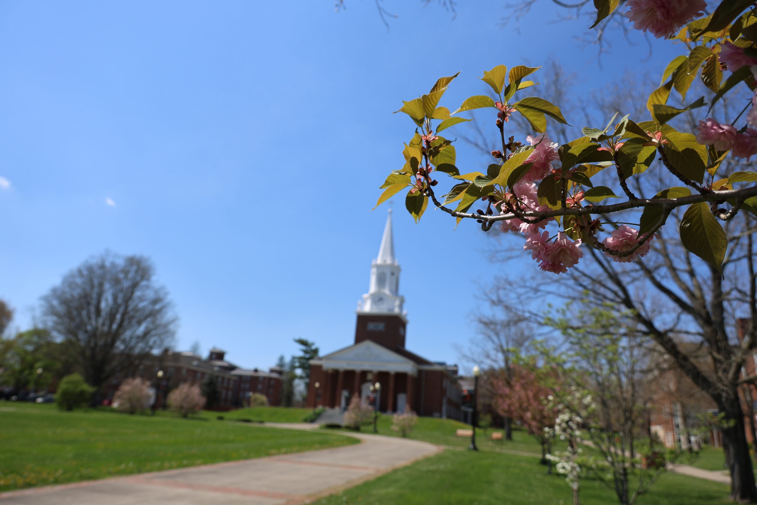 4. Chattstate Celebrates 1000+ Dean'S List Students For Fall 2024 - x2s75ce